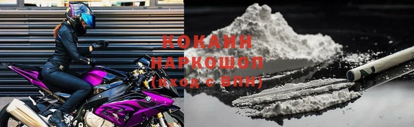 амф Кукмор
