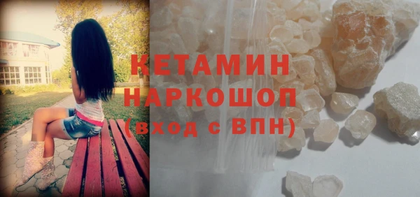 крисы Кулебаки