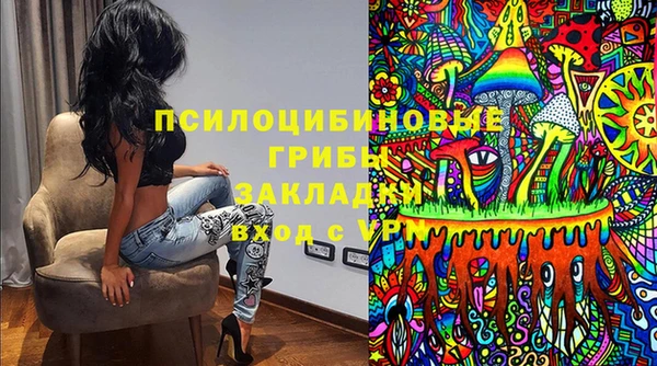 амф Кукмор