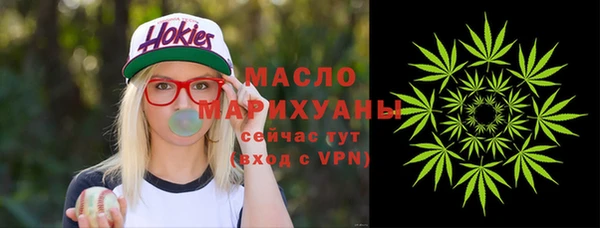крисы Кулебаки