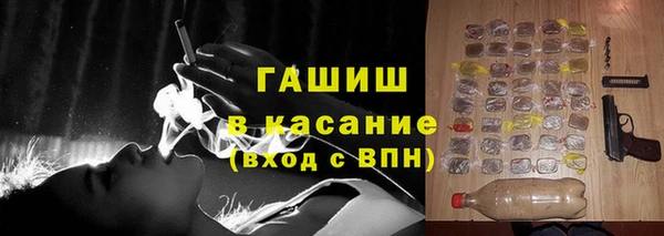 крисы Кулебаки