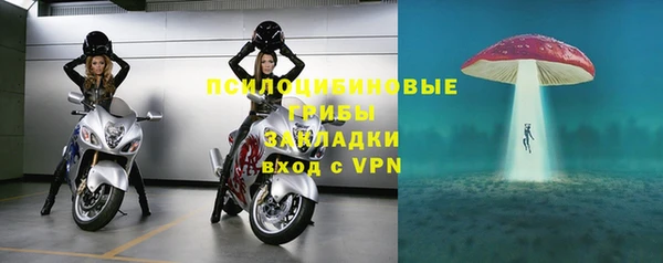 крисы Кулебаки