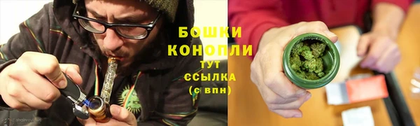 крисы Кулебаки