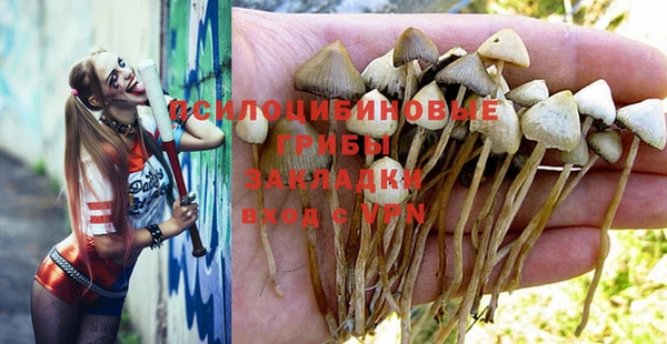 бутират Куйбышев