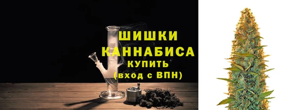крисы Кулебаки