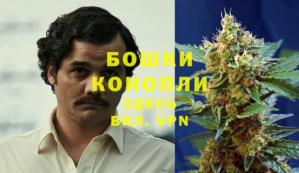 амф Кукмор