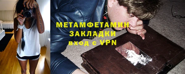 крисы Кулебаки