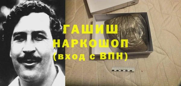крисы Кулебаки