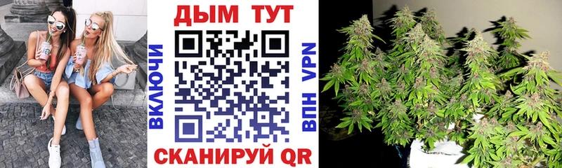 Каннабис AK-47  Купить  Сольцы 
